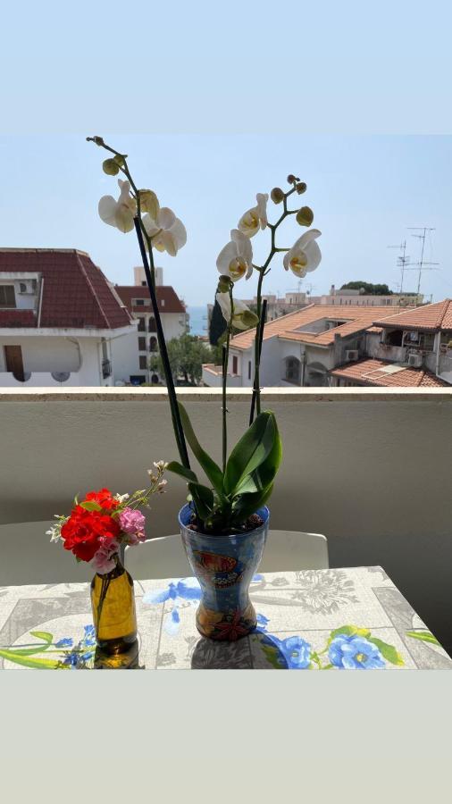 Sea View 2 Bedroom Vacation Apartment جيارديني ناكسوس المظهر الخارجي الصورة